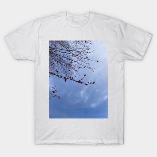 Red Maple Blossoms against a Blue Sky T-Shirt